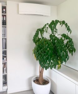 _foto 10